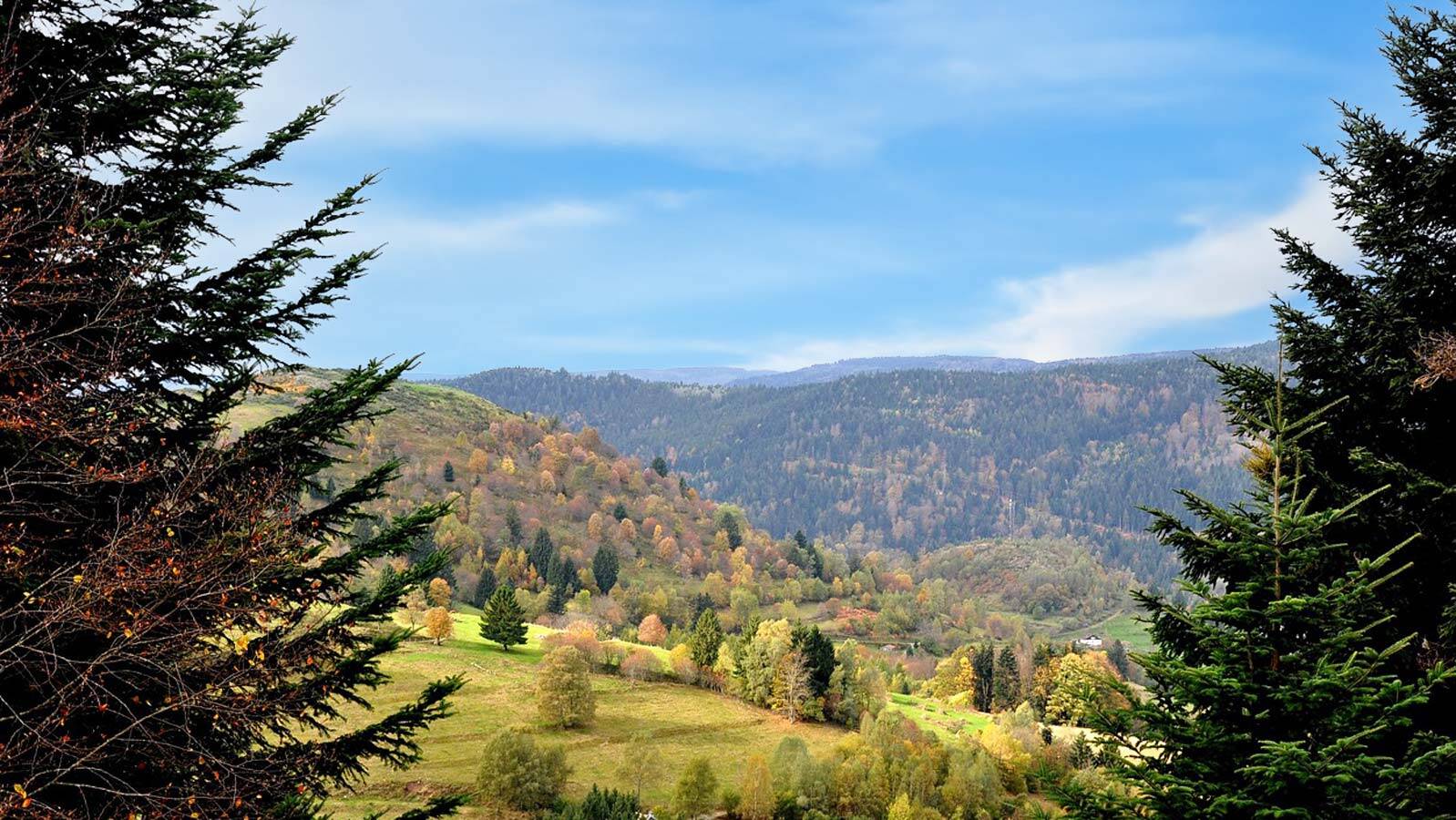 vosges